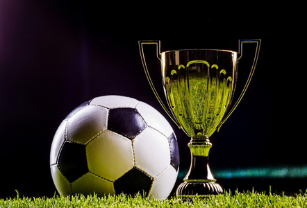 的海洋中 的海洋中